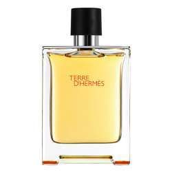 Terre D Hermes (Original) - 100mL